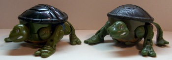 PetTurtles