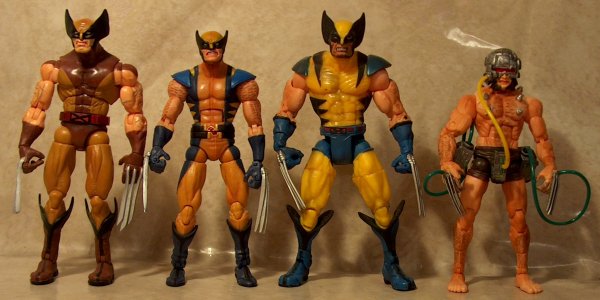 Wolverines