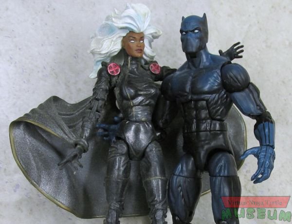 Black Panther and Storm