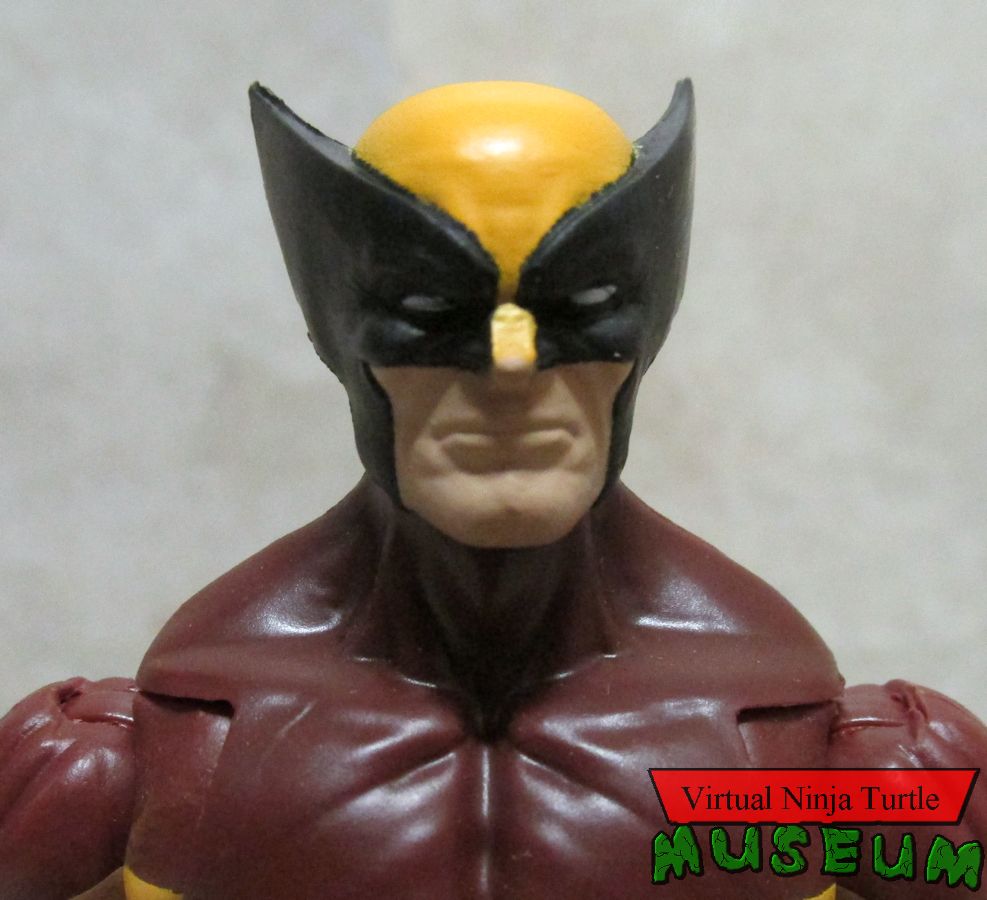 Wolverine close up