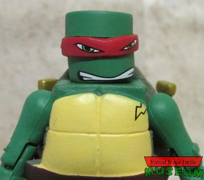 raphael close up