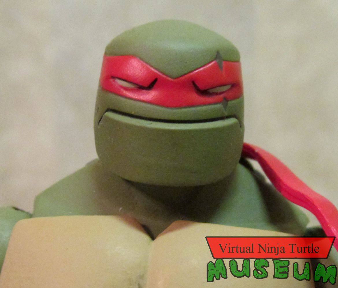 Raphael close up