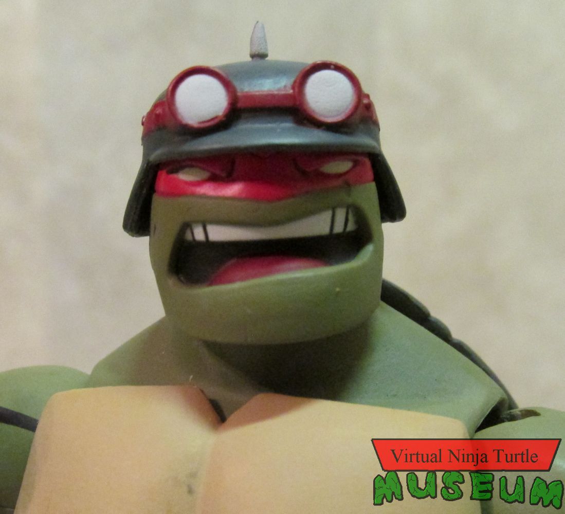 Raphael's Alt head